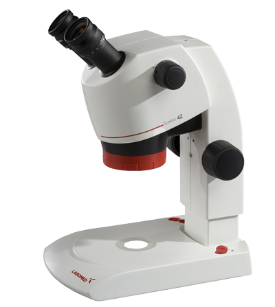 Stereo Microscope